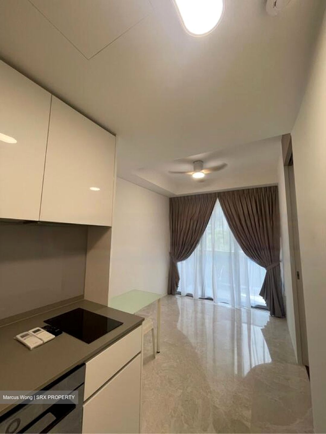Amber Park (D15), Condominium #455837751